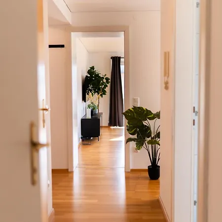 Homy Alpine Panorama * Bludenz