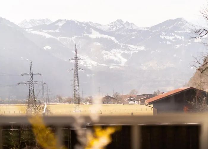 Homy Alpine Panorama Apartment *